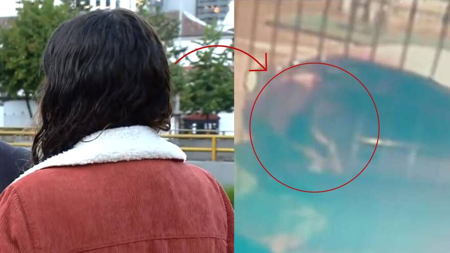 Historia de la joven que bajaron inconsciente de un carro en Bogotá: Tomó un taxi y luego la robaron y golpearon