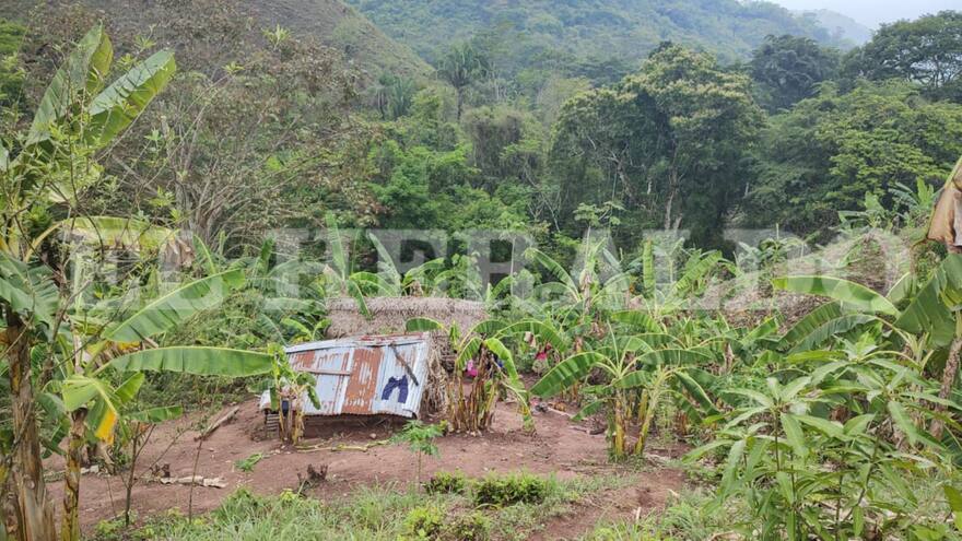 Un desconocido habría ingresado a la comunidad donde murieron los niños yukpa