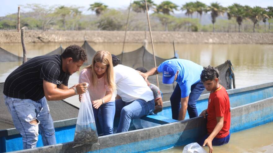 En Manatí siembran 20 mil alevinos gracias a proyecto piscícola