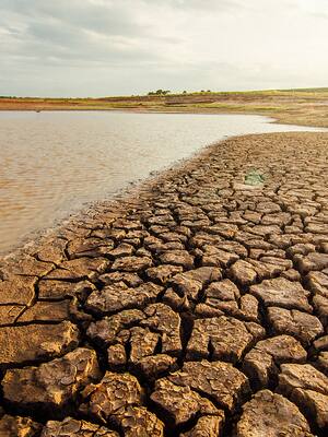 Ley de Acción Climática| columna de Carlos Eduardo Correa