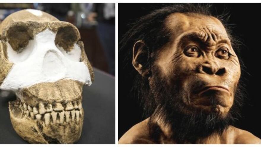 Homo Naledi, la nueva ‘estrella’ de la evolución humana