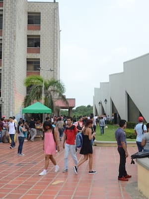 Universidad caribeña