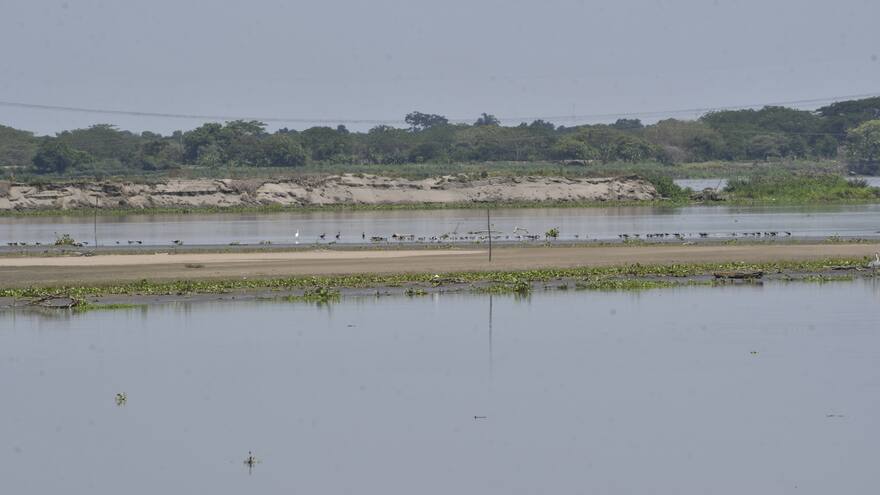 Más de 500 municipios están en riesgo de desabastecimiento de agua a causa de El Niño