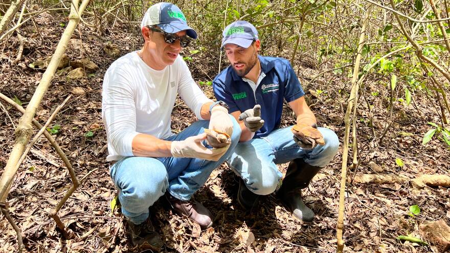 Barranquilla Verde devuelve a su hábitat 28 ejemplares rescatados