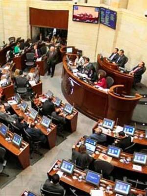 También las parlamentarias