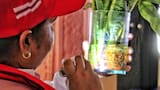 Gobernación intensifica acciones para contener el dengue en el Atlántico
