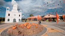 Desde este jueves hay rutas gratis de transporte para disfrutar del ‘Halloween de Todos’ en el Pueblito Cordobés