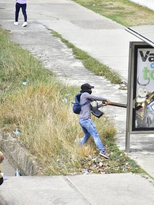 Vándalos y otros bichos