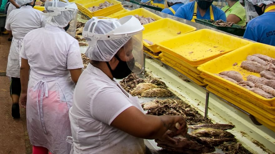 Descuentan del sueldo el tiempo que vamos al baño: trabajadora de Van Camp’s