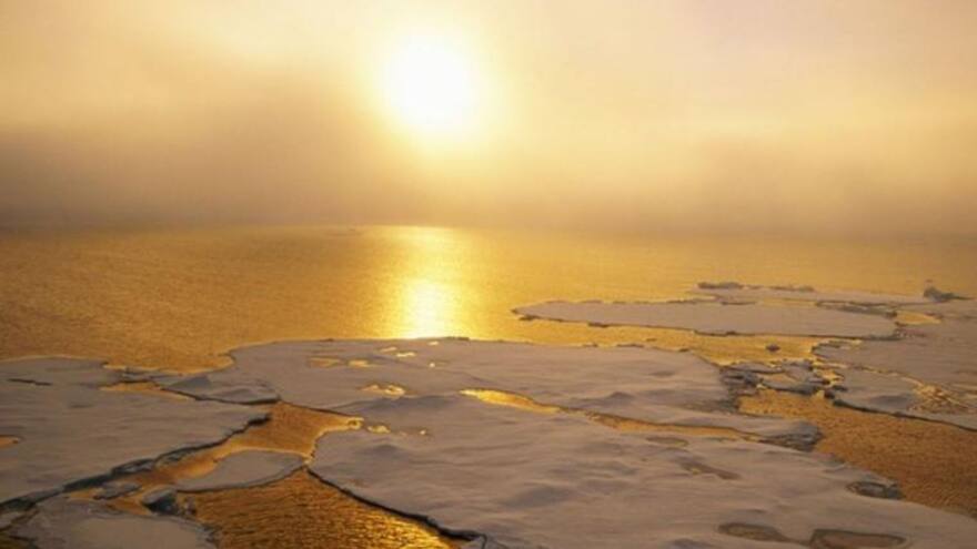 Científicos descubrieron olas de calor en lo más profundo del océano, una amenaza para los ecosistemas