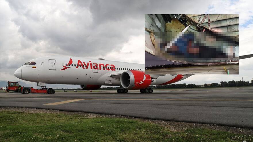 Cadáveres en avión de Avianca: se conocen más detalles del caso
