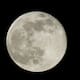 Así se vio la Superluna en el mundo: conozca cuándo podrá contemplarla otra vez este 2025