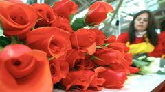 Alza del dólar generará ganancias para floricultores en San Valentín