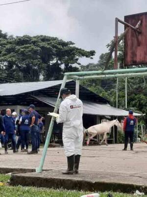 Los muertos del Putumayo | Columna de Catalina Rojano