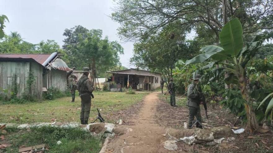 FF. MM. de Venezuela destruyen campamento de narcotráfico en Apure