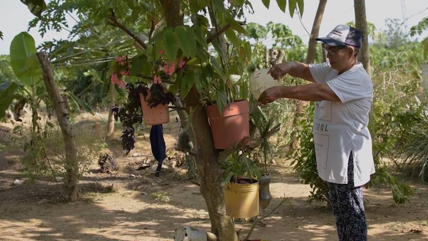 Martha, una mujer que labra el camino hacia la paz en Valencia, Córdoba