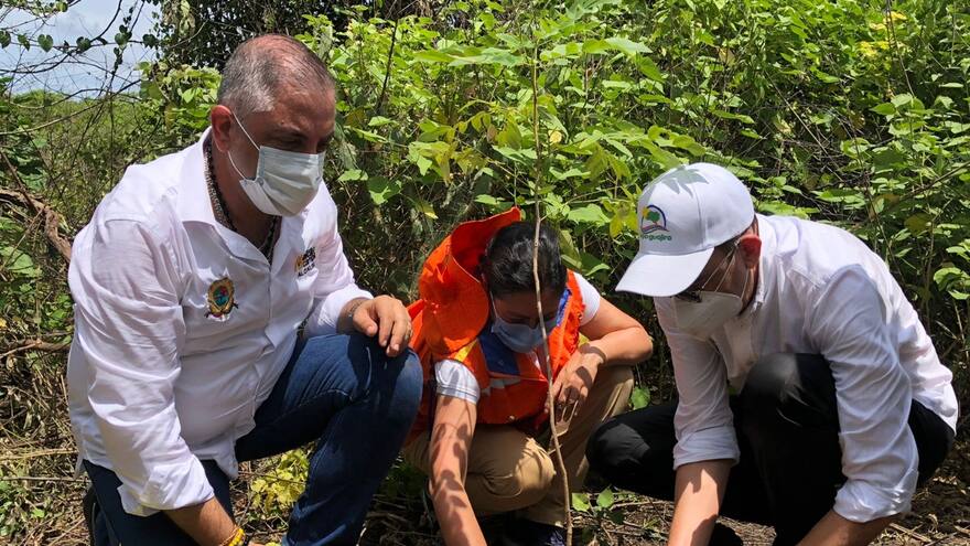 En Maicao se inició la sembratón de La Guajira