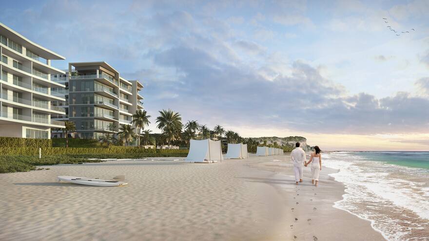 Biodiversidad y playa