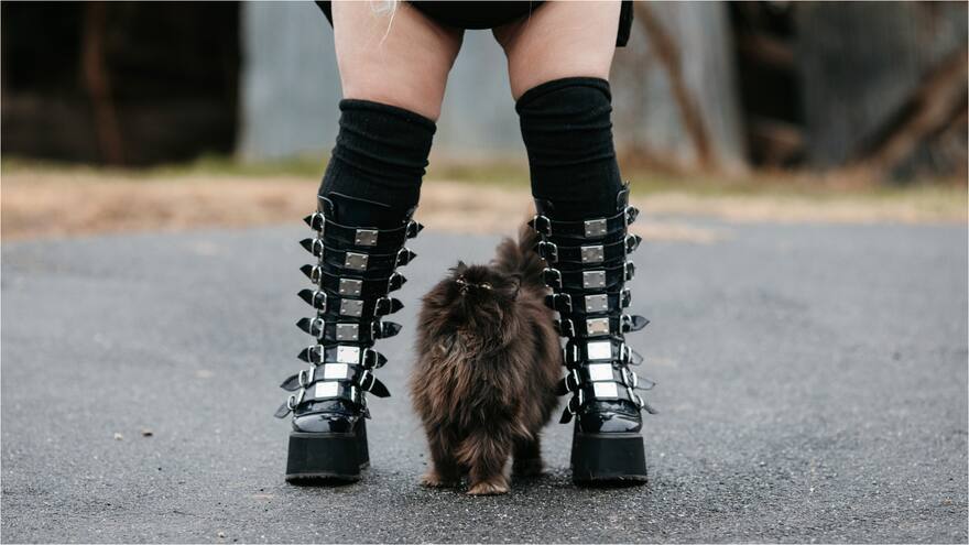 Día Internacional del Emo: cada 19 de diciembre se conmemora esta subcultura que nació en los 2000