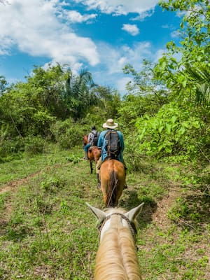Altillanura: donde el próximo presidente debe poner el acelerador