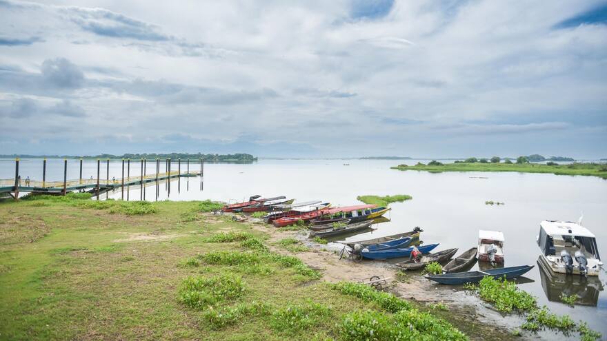 Aprueban acuerdo para la protección de la ciénaga de Zapatosa