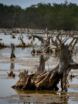 Ir a Santa Marta, ya no es un paseo | Los lectores escriben