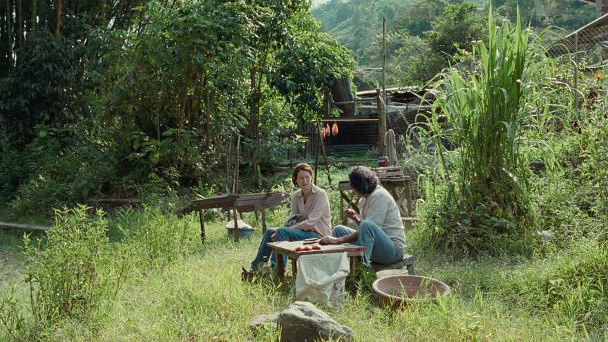 Película ‘Memoria’ competirá por Colombia en los Premios Platino