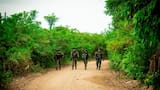 Operativos para prevención del delito refuerzan seguridad en Soledad