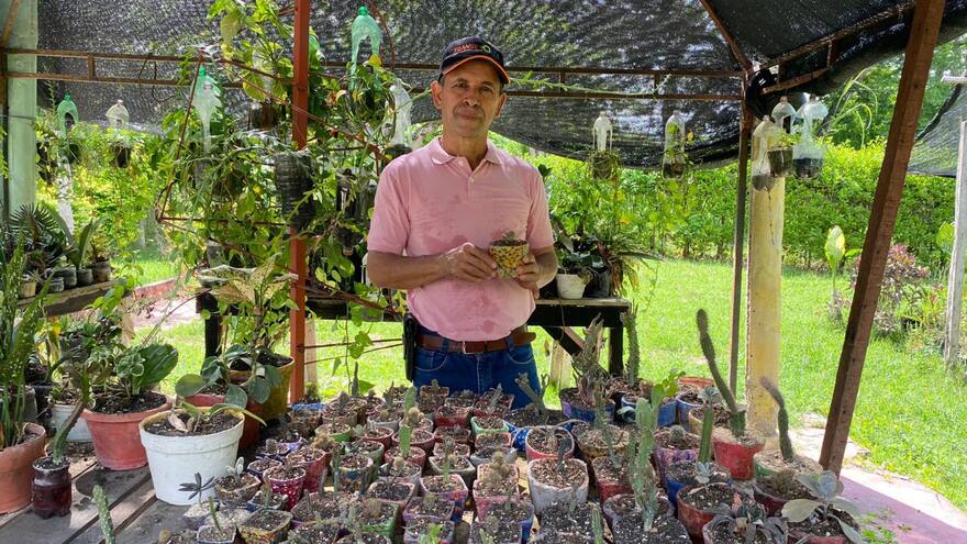 En Sucre transforman las podas que hace Afinia en abono orgánico