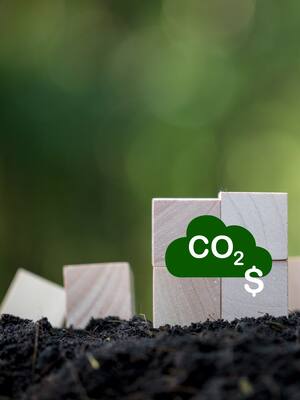 Descarbonizar la economía del Cesar y La Guajira | Columna de Amat Zuluaga