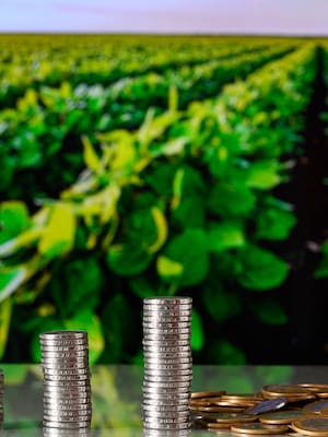 Crédito agropecuario: Del fomento al obstáculo