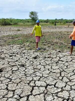 El Niño | | Columna de Simón Gaviria