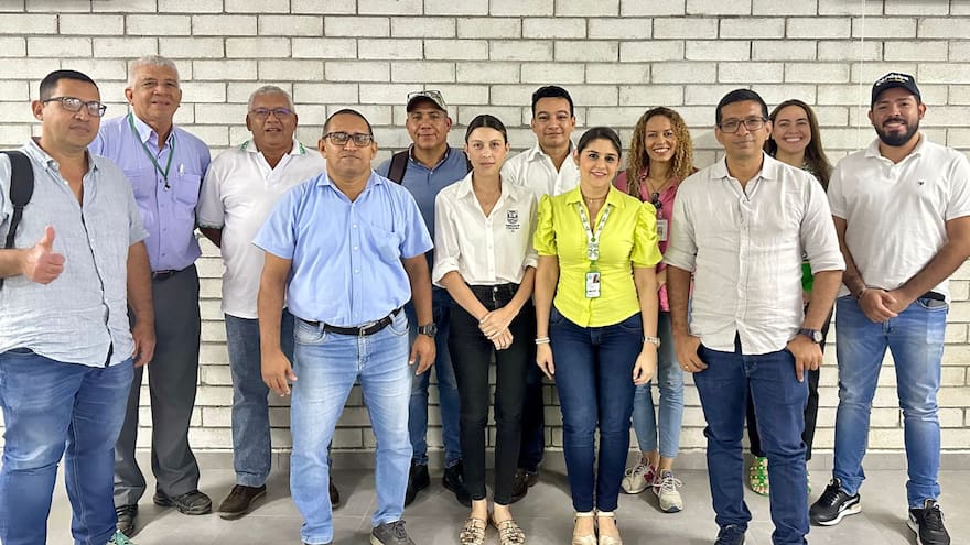 En Córdoba promueven el ñame para abordar desafíos de seguridad alimentaria