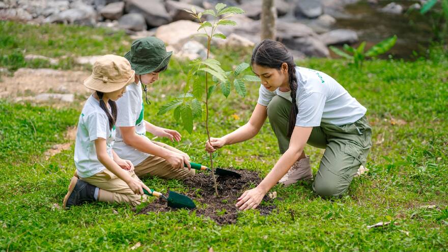 Internet y su huella ambiental, un impacto que va en aumento