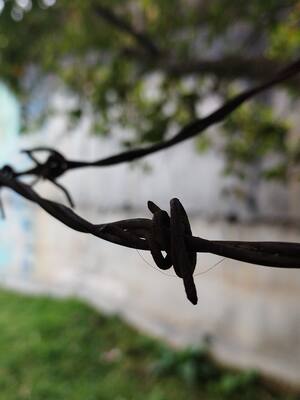 Seducción, violencia y dominación territorial | Columna de José Félix Lafaurie Rivera