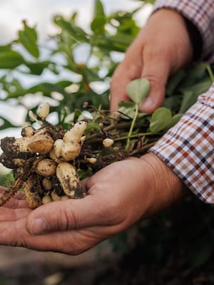 Visionarios del agro