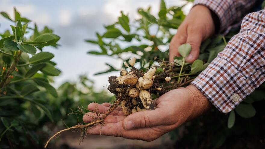Visionarios del agro
