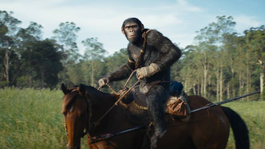 El planeta de los simios muestra al mundo su ‘nuevo reino’