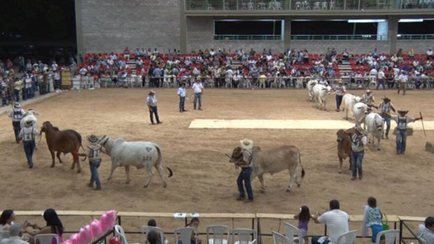 Las razas cebuínas se toman Valledupar