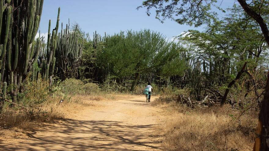 'La naturaleza ya declaró la emergencia en La Guajira': FUCAI