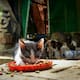 Estudio alerta de posibles riesgos sanitarios asociados a alimentos para gatos: hay presencia de bacterias patógenas