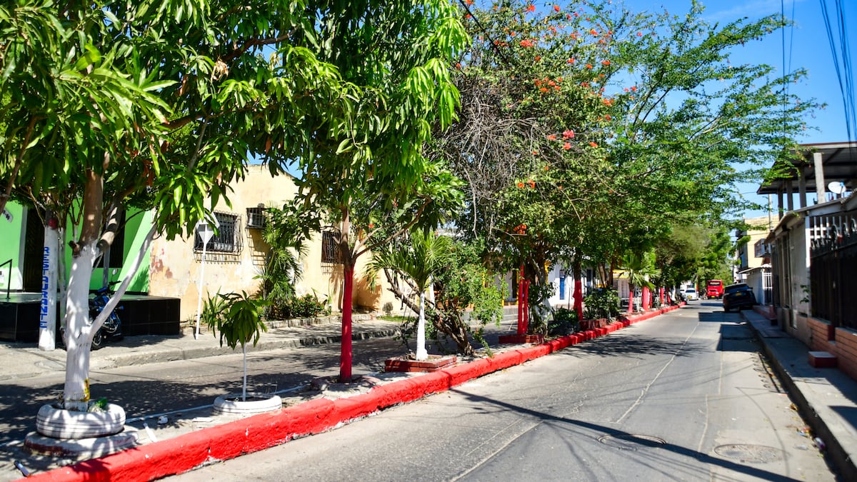 Fiestas populares en Barranquilla: Autoridades prometen reforzar seguridad tras incidentes violentos