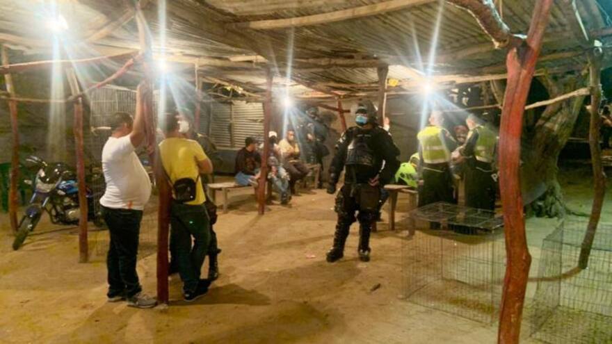 Pelea en gallera de Pinar del Río termina en tragedia: un muerto y 5 heridos