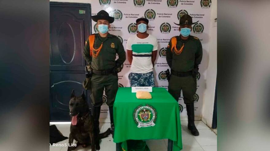 ‘Modric’ olfateó droga en un bus intermunicipal en la Oriental