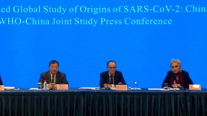 Covid pasó a los humanos por un segundo animal: OMS