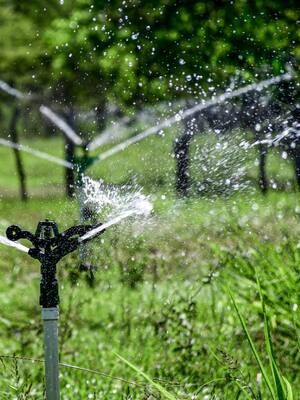 Alianzas agroindustriales