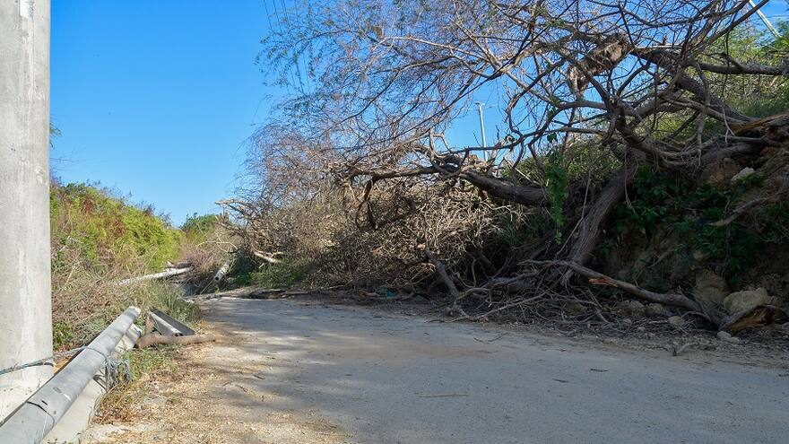 Antigua vía a Puerto será abierta dentro de un mes