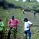 Tensión en el sur de Córdoba por erradicación de hoja de coca