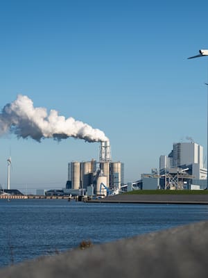 Una falsa disyuntiva