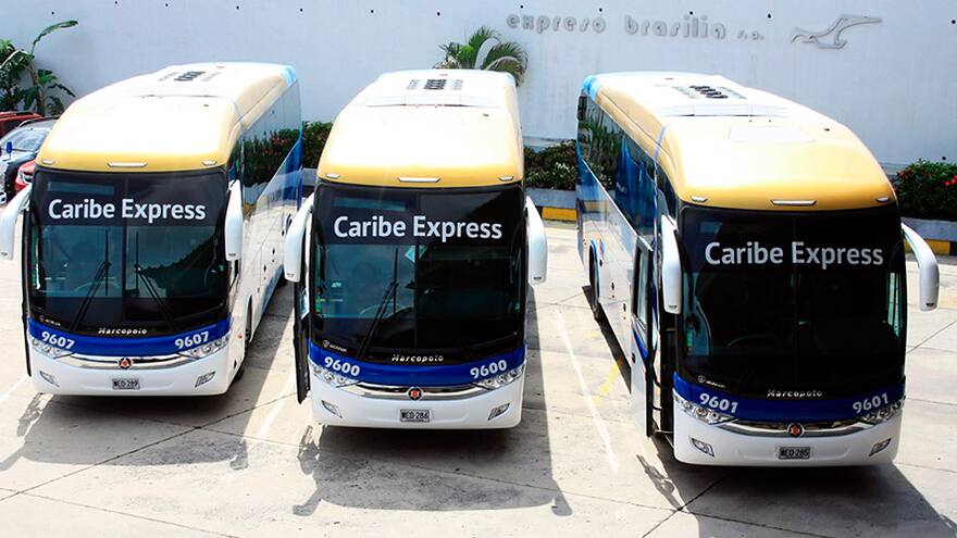 Unitransco invirtió $6.000 millones en buses de Caribe Express